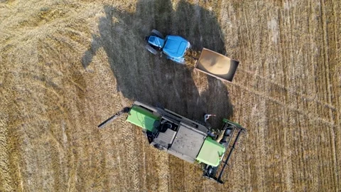 Aerial view of the process of collecting wheat Video stock 159155906