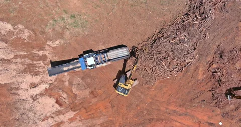 Aerial view on processing facility large industrial wood chip shredder Stock Footage 195838575