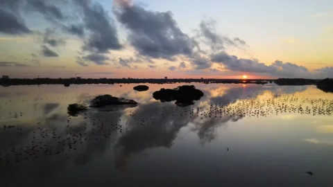 Aerial view of Progreso Beach at sunset with pink flamingos, Yucatan, Mexico. 库存影片 265251909