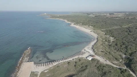 Aerial view of the protected area of Torre Guaceto, Brindisi, Puglia, Italy Stock Footage 245811081
