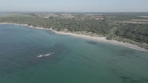 Aerial view of the protected area of Torre Guaceto, Brindisi, Puglia, Italy Stock Footage 245811362