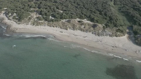 Aerial view of the protected area of Torre Guaceto, Brindisi, Puglia, Italy Stock Footage 245811690