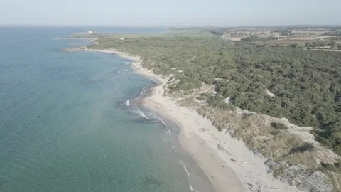 Aerial view of the protected area of Torre Guaceto, Brindisi, Puglia, Italy Stock Footage 245813068