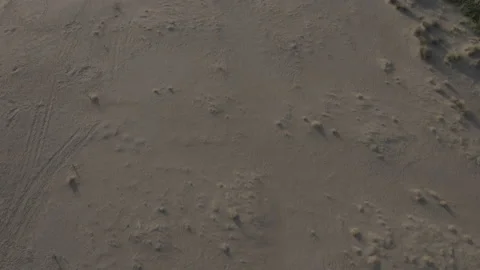An aerial view of the protected turtle nesting beach Istuzu in Turkey Stock Footage 232244681
