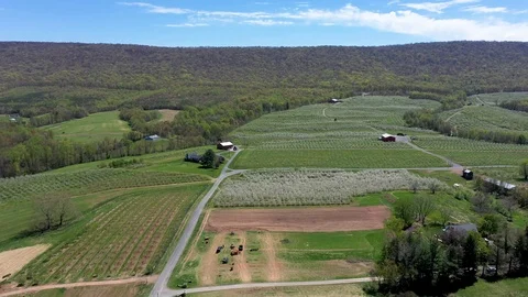 Aerial view pulling away, farms in spring in the mountains fruit trees blooming. Video stock 106791665