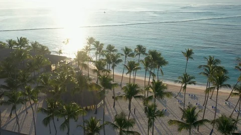 Aerial view of Punta Cana Stock Footage 124472984