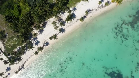 Aerial view of Punta Cana Stock-Footage 124476053