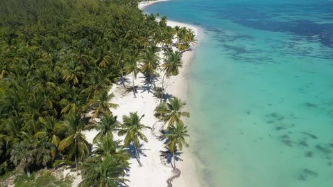 Aerial view of Punta Cana Stock Footage 124476370