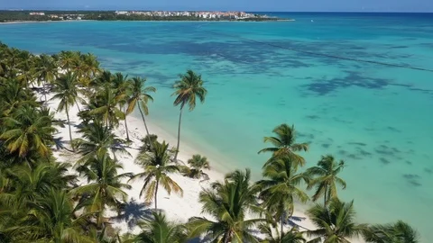 Aerial view of Punta Cana Stock Footage 124476445