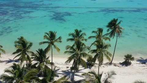 Aerial view of Punta Cana Stock Footage 124477558