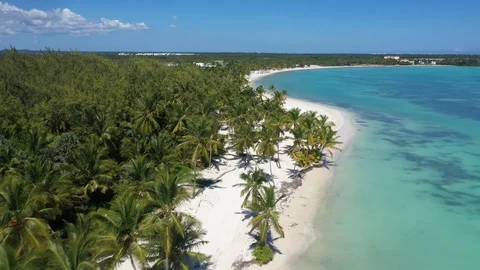 Aerial view of Punta Cana Stock Footage 124478167