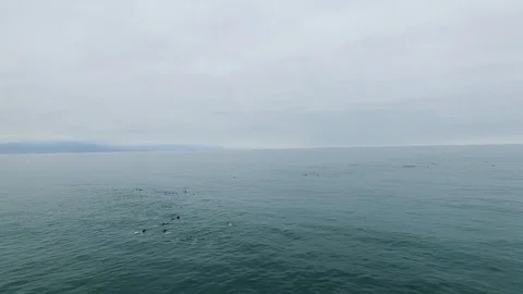 Aerial view of Punta De Choros in Chile Stock Footage 124725018