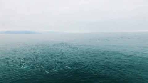 Aerial view of Punta De Choros in Chile Stock Footage 124725052