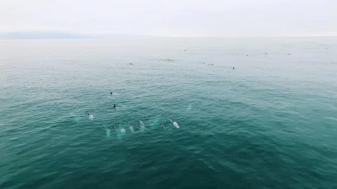 Aerial view of Punta De Choros in Chile Stock Footage 124725102