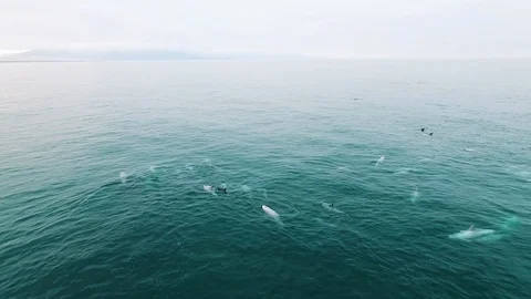 Aerial view of Punta De Choros in Chile Stock Footage 124725260