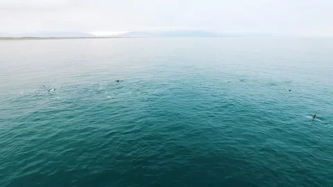 Aerial view of Punta De Choros in Chile Stock Footage 124725335