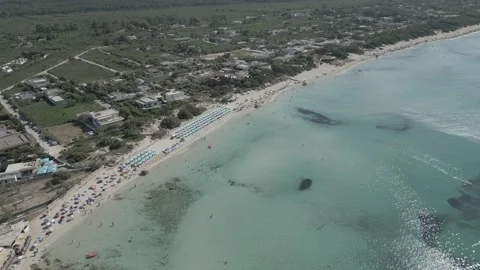 Aerial view of Punta Prosciutto beach, Salento, Puglia, Italy Stock Footage 245799886