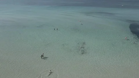 Aerial view of Punta Prosciutto beach, Salento, Puglia, Italy Video stock 245832321