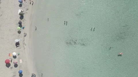 Aerial view of Punta Prosciutto beach, Salento, Puglia, Italy Stock Footage 245834578