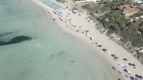 Aerial view of Punta Prosciutto beach, Salento, Puglia, Italy Video stock 245835051