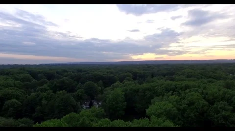 Aerial view , push in over the trees to the sunset 4k Stock Footage 65235255