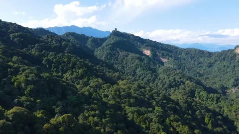 Aerial View of Qingcheng Mountain Main Peak Dense Forest and Mountains in Video stock 337927508