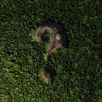 Aerial view of a question mark inside a forest. Stock Illustration