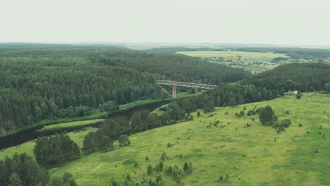 Aerial view of the railway bridge over the river in the forest Stock Footage 145643476