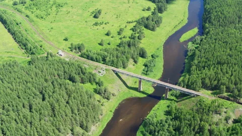 Aerial view of the railway bridge over the river in the forest Video stock 146296480