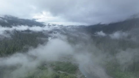 Aerial View of Rain Clouds Drifting Over Olympic Peninsula Temperate Rainforest 動画素材 247282202