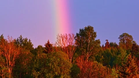 Aerial view of rainbow over forest, Latvia. Stock Footage 340574995