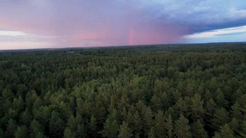 Aerial View of Rainfall and Rainbow in Enchanting Forest Video stock 249590518