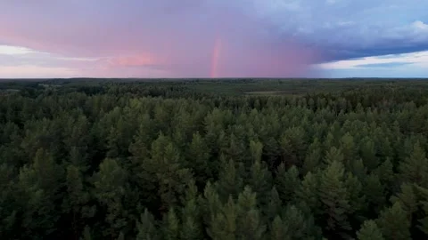 Aerial View of Rainfall and Rainbow in Enchanting Forest Video stock 249590523