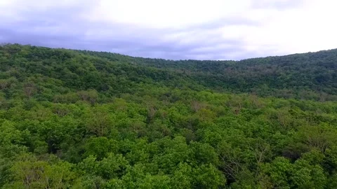 Aerial view of rainforest with cloudy sky. Smooth drone moving forward Stock Footage 131422270