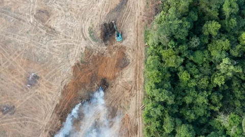 Aerial view of rainforest deforestation Stock Footage 100344543