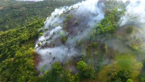 Aerial view of Rainforest deforestation, forest fire burning and smoking, Stock Footage 140480901