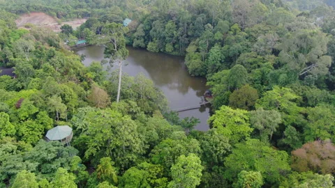 An Aerial view of Rainforest Discovery Centre, RDC in Sepilok, Sandakan. Sabah. Stock Footage 158652448