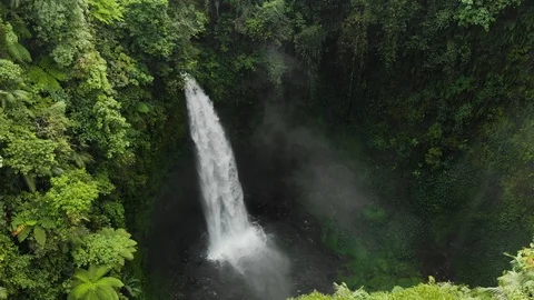 Aerial view rainforest with a large waterfall. Bali, Indonesia Video stock 123973590