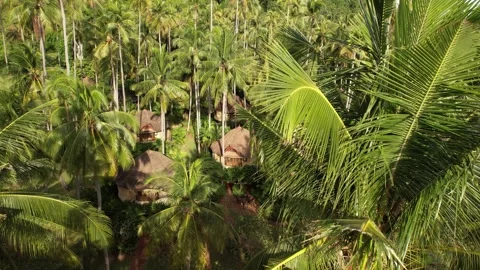 Aerial view of rainforest scenery of Railay beach in Krabi Thailand Video stock 266398656