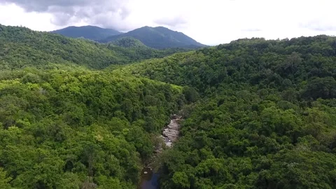 Aerial view of rainforest with small river in the midle in Sumbawa, Indonesia Stock Footage 131422208