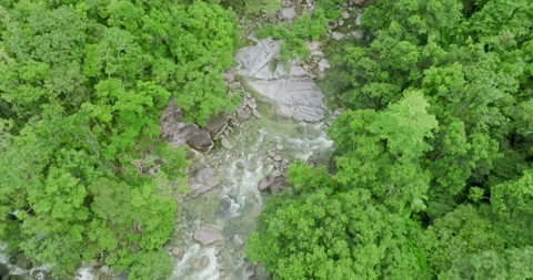Aerial view of a rainforest stream Stock Footage 204015117