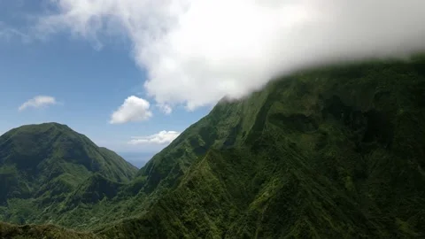 Aerial view of rainforest under the blue cloudy sky, Maui highlands, Hawaii, USA Stock-Footage 178220451