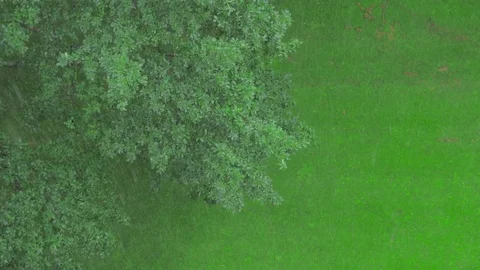 Aerial view rainy day. Stock Footage 77655374