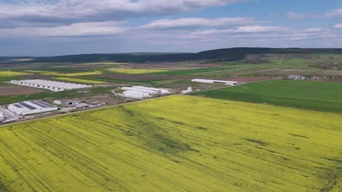 Aerial View of Rapeseed Fields and Wind Turbines with Farm Infrastructure Stock Footage 335448298
