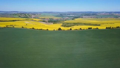Aerial view of rapeseed fields in Moravia, Czech Republic Video stock 89667549