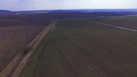 Aerial view of rapeseed fields with path and landscape in 4K Video stock 74132108