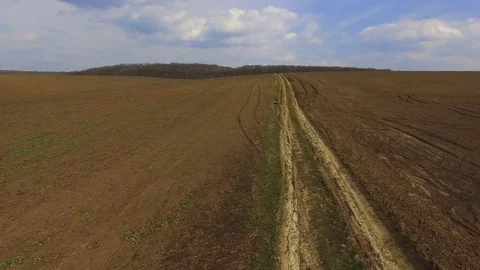 Aerial view of rapeseed fields with path and landscape in 4K Video stock 74154942