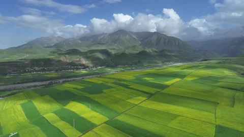 Aerial view of Rapeseed Fields in Qilian Mountains, Qilian, Qinghai, China Stockbeeldmateriaal 307166235