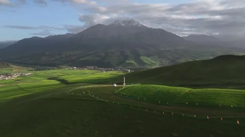 Aerial view of Rapeseed Fields in Qilian Mountains, Qilian, Qinghai, China Stock Footage 307168780