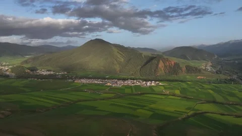 Aerial view of Rapeseed Fields in Qilian Mountains, Qilian, Qinghai, China Stockbeeldmateriaal 307168966